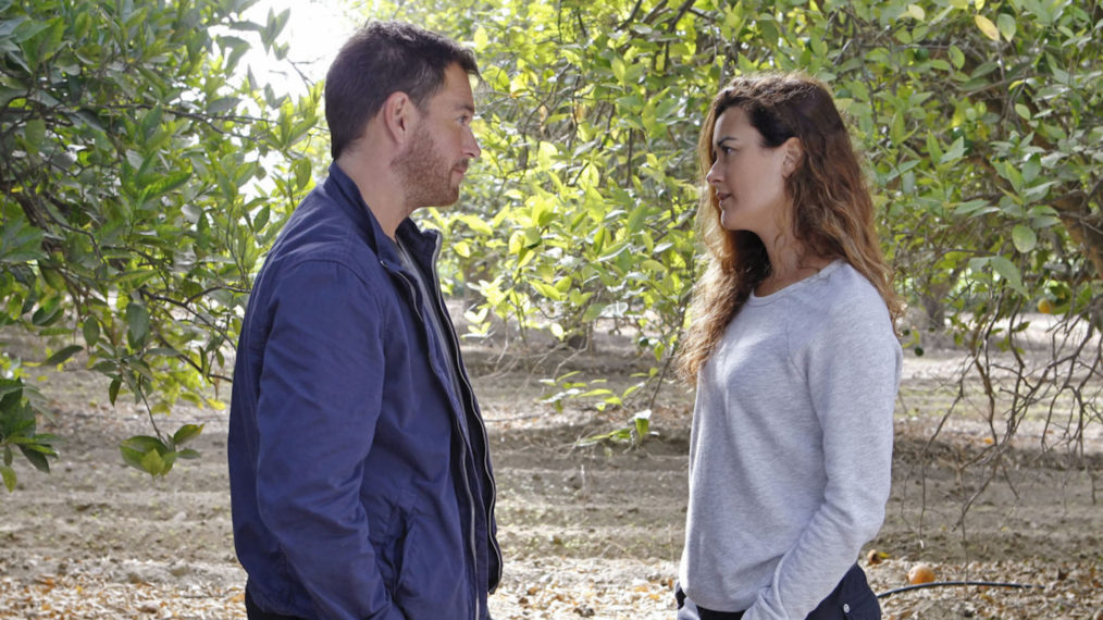 NCIS Season 18 Hopes Past Characters Return Tony Ziva