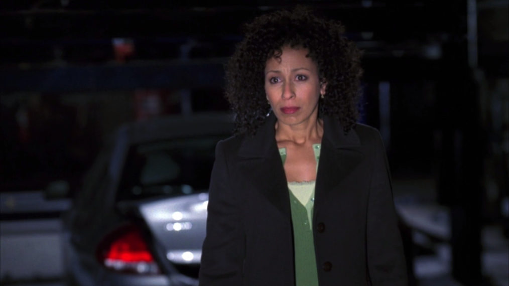 Tamara Tunie Law Order SVU Season 7 Episode 13