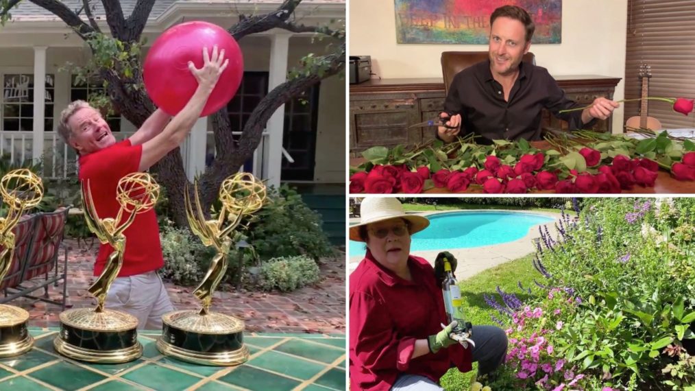 Bryan Cranston Chris Harrison Margo Martindale Emmys 2020