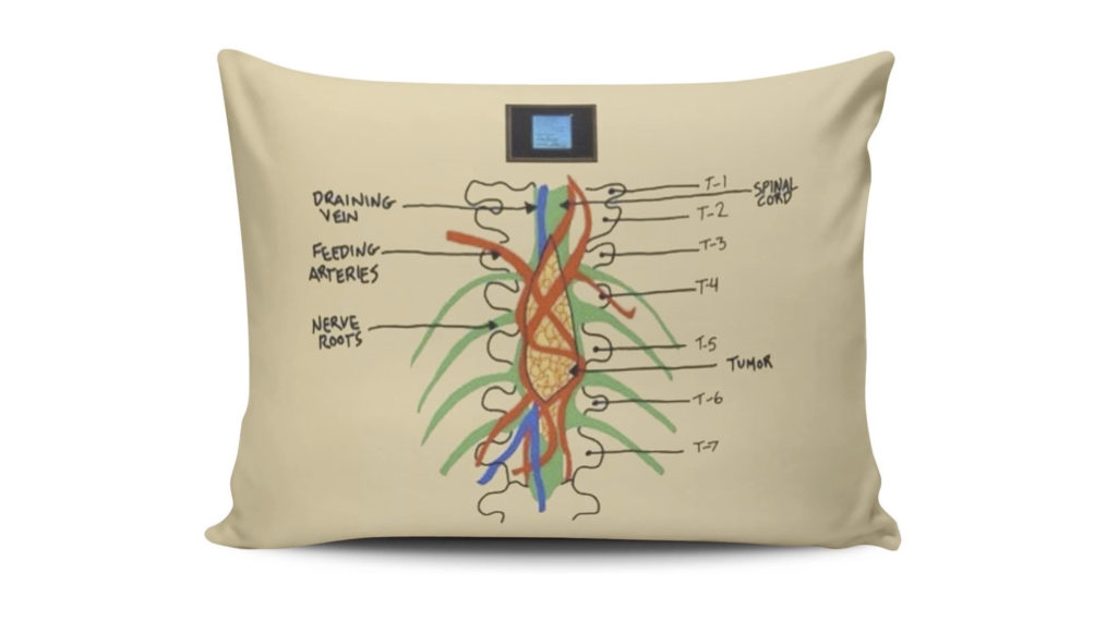 Grey's Anatomy Merchandise Pillow