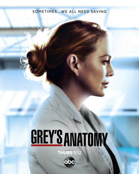 Grey's Anatomy Season 17 Ellen Pompeo Meredith Grey Key Art