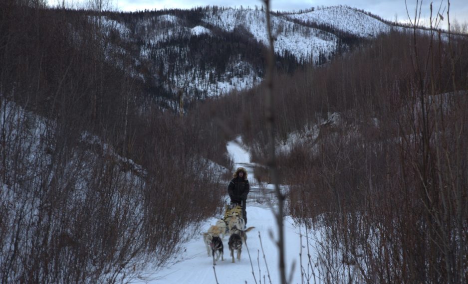 NGC LIFE BELOW ZERO NEXT GENERATION BRENT SASS