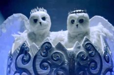 'The Masked Singer' Unveils Snow Owls, First-Ever Duet Contestants (VIDEO)