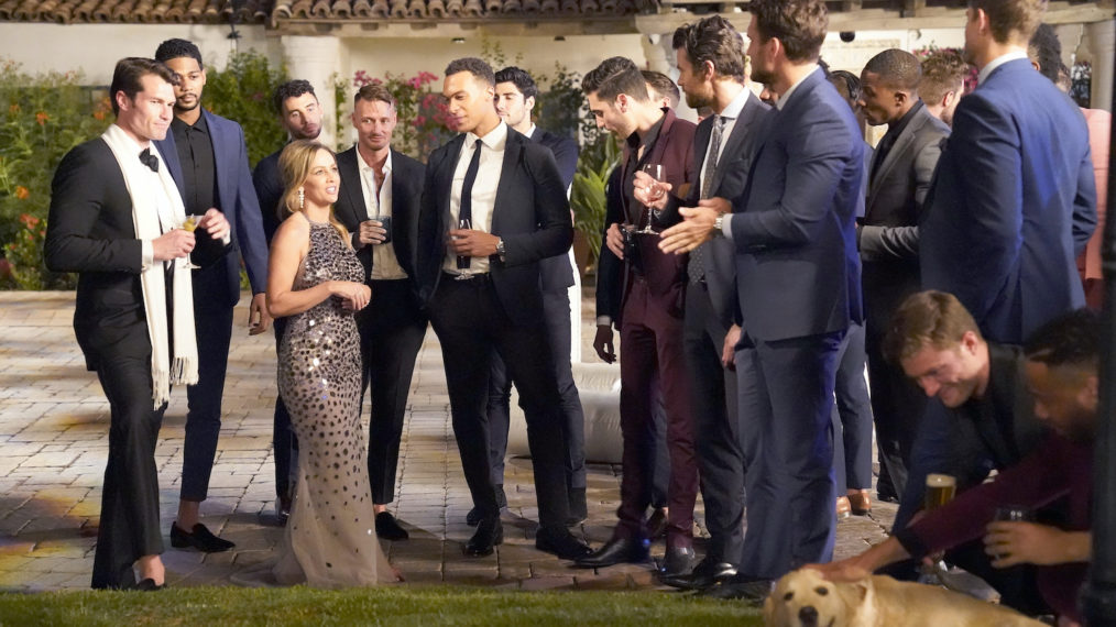 The Bachelorette 2020 Season 16 Premiere Clare Bachelors Dale Dog
