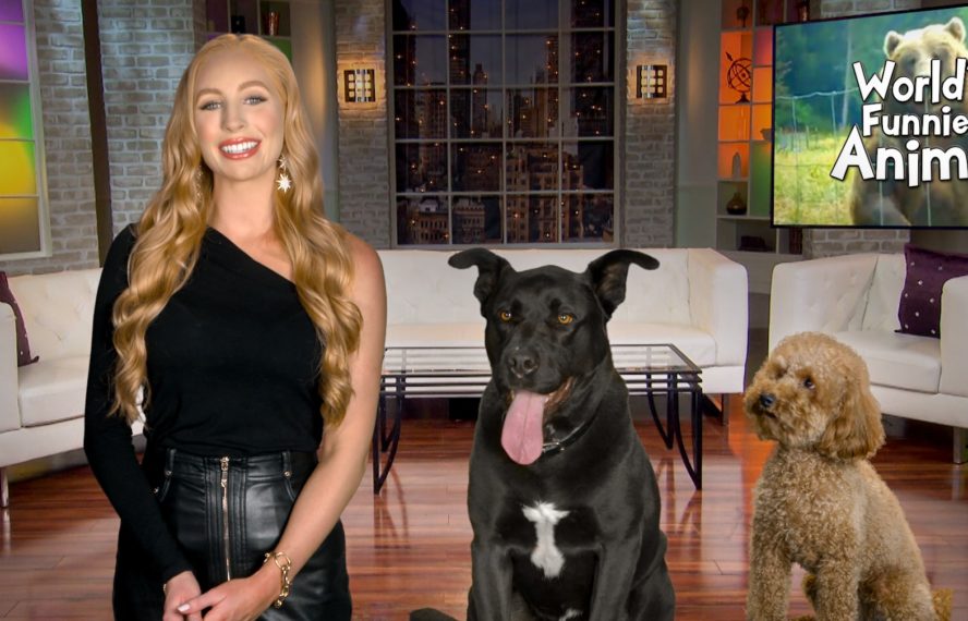 Watch Hilarious Pet Moments on The CW's 'World's Funniest Animals' (VIDEO)