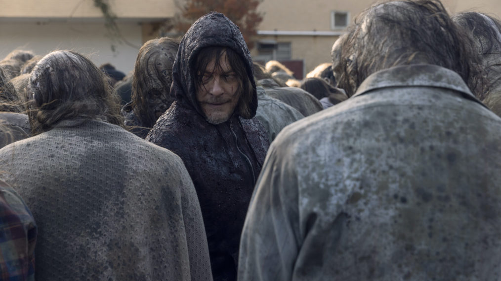 the walking dead a certain doom daryl norman reedus