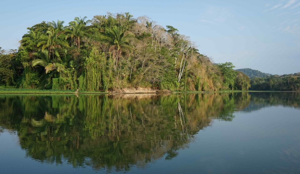 AGE OF NATURE CHGRES RIVER PANAMA