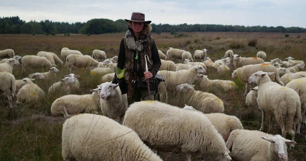 AGE OF NATURE SHEEPHERDER