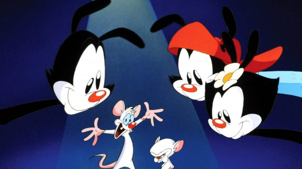 Animaniacs,' 'The Mighty Ones' & More Animated Series on Our Radar This Fall