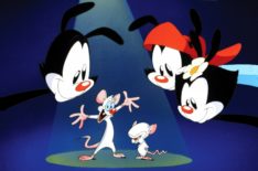 'Animaniacs,' 'The Mighty Ones' & More Animated Series on Our Radar This Fall