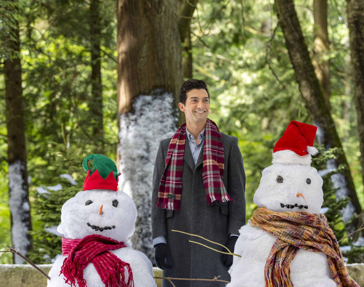 David Alpay Actor, Musician, Producer