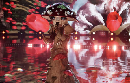 The Masked Singer Season 4 Group C Premiere Mushroom