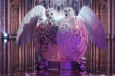 'The Masked Singer': The Snow Owls Draw Some Interesting Guesses (RECAP)