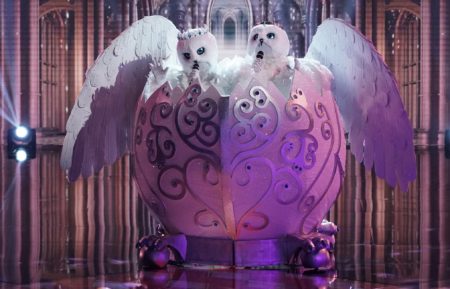 Snow Owls