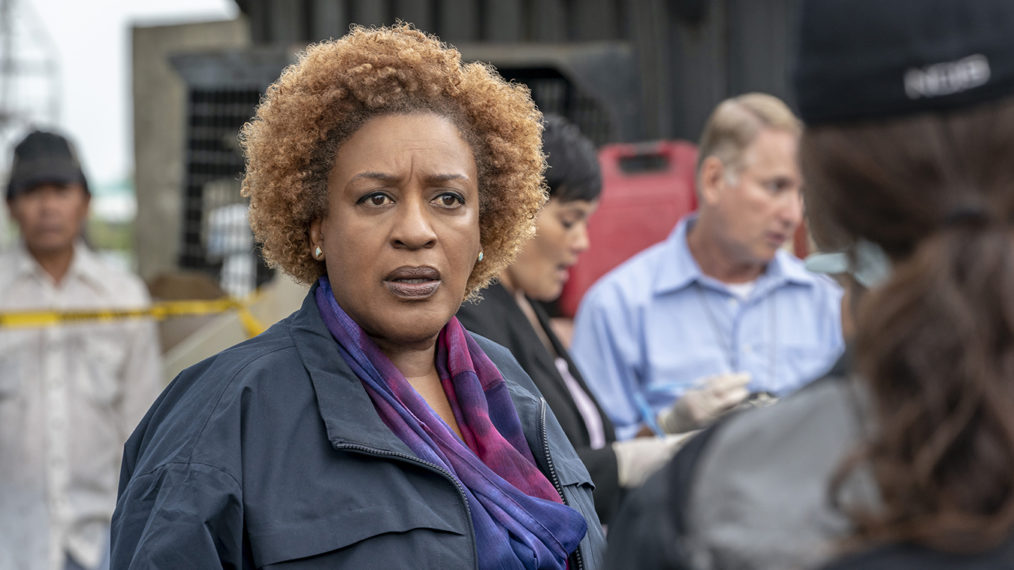 CCH Pounder NCIS Los Angeles Loretta Wade