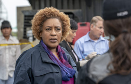 CCH Pounder NCIS Los Angeles Loretta Wade