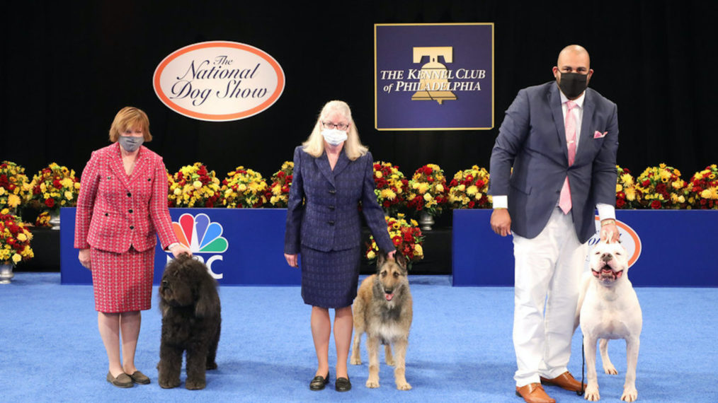 National Dog Show 2020 Barbet Belgian Laekenois Dogo Argentino