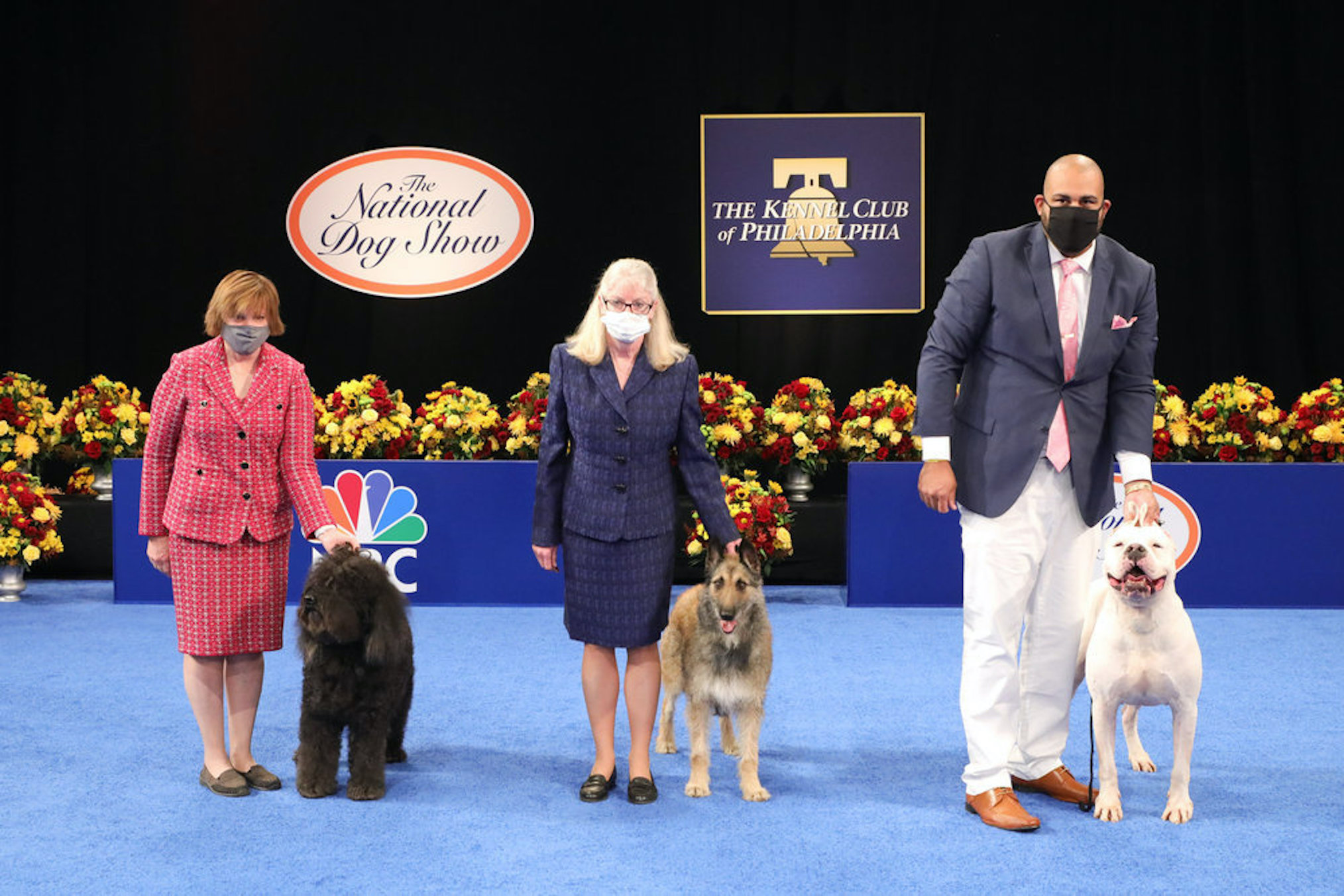 National Dog Show 2020 Barbet Belgian Laekenois Dogo Argentino