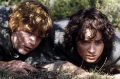 Sean Astin and Elijah Wood in The Lord of the Rings: The Two Towers
