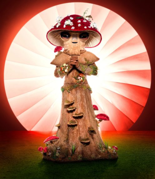 The Masked Singer Season 4 Mushroom