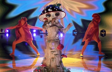 The Masked Singer Season 4 Mushroom