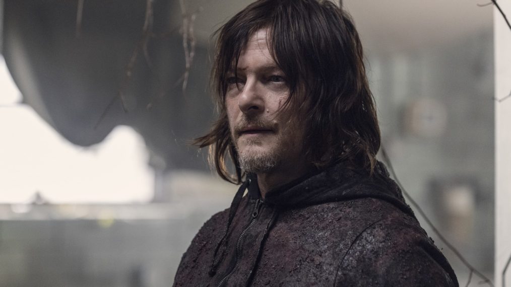 the walking dead norman reedus daryl