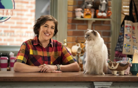 Mayim Bialik Call Me Kat Fox Cats