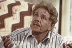 Jerry Stiller in Seinfeld as Frank Costanza