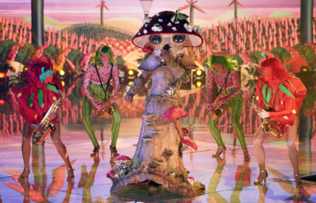The Masked Singer Season 4 Mushroom Finale Performance