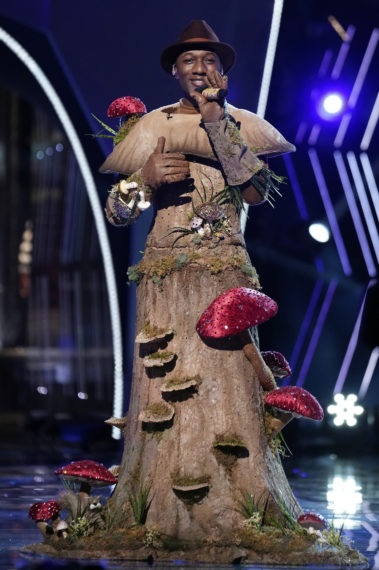 The Masked Singer Season 4 Mushroom Aloe Blacc