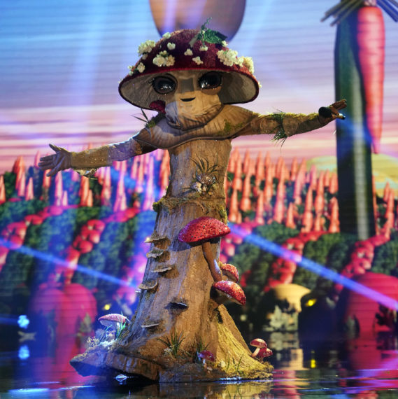 The Masked Singer Season 4 Mushroom Finale