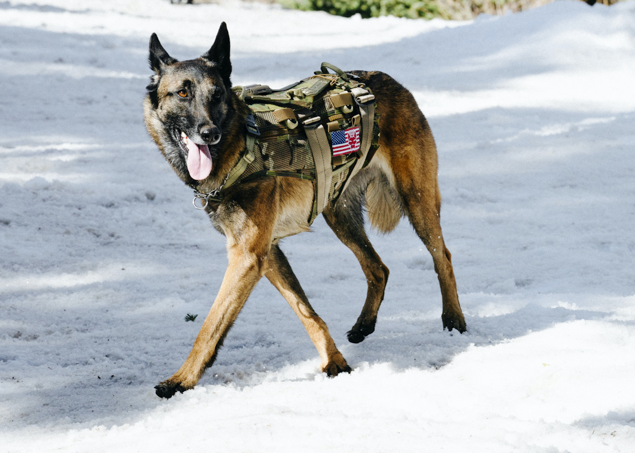 'SEAL Team's David Boreanaz on Jason's Big Decision 'I Don't Know If