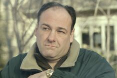 Tony Soprano - James Gandolfini