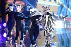 'The Masked Dancer': Is Zebra a Trained Dancer? (VIDEO)