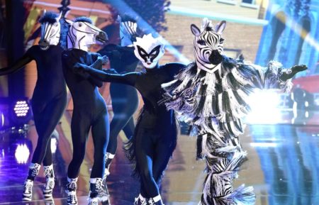 Zebra Masked Dancer Group B Premiere Zebra Performance