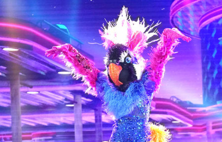 Exotic Bird Top 5 Masked Dancer Performance