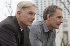 Should the Potential New 'NCIS' Spinoff Set in Hawaii Be Introduced as a Backdoor Pilot?