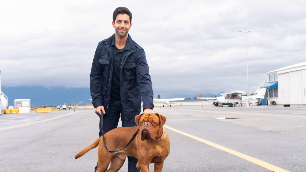 Turner & Hooch, Josh Peck as Scott Turner for Disney+