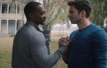 The Falcon And The Winter Soldier Sam Bucky