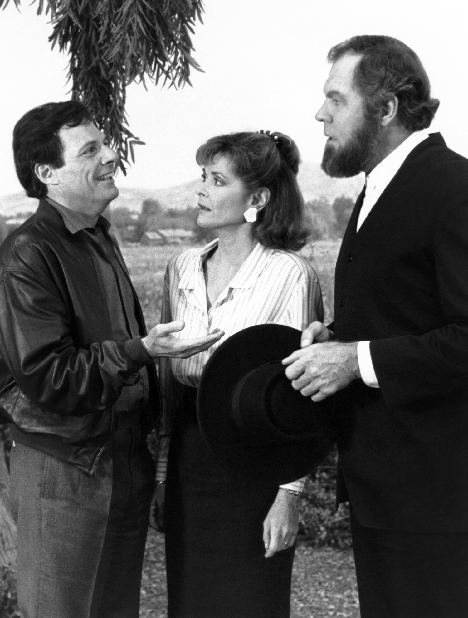 Ron Leibman, Jessica Walter, and Merlin Olsen in Aaron's Way