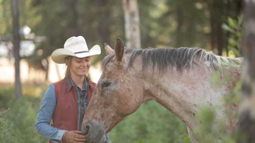 Amber Marshall as Amy Fleming in Heartland - Season 14