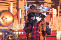 'The Masked Singer': How Raccoon Was Inspired by Steven Tyler — and His Dog