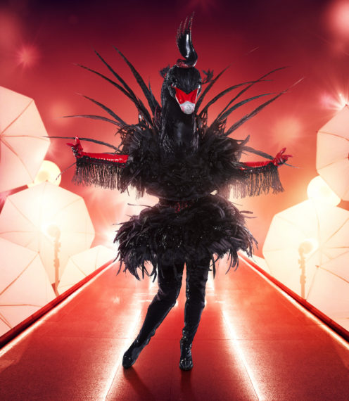 Black Swan The Masked Singer Season 5 Costume