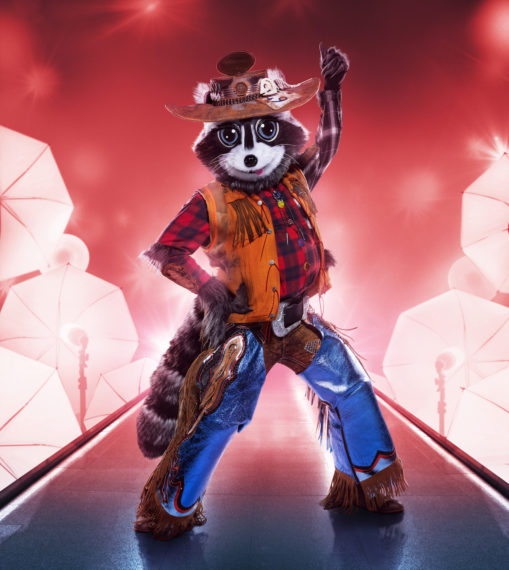Raccoon The Masked Singer Season 5 Costume