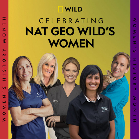 Nat Geo Wild's Women History Month Poster