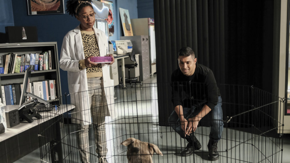 Kasie Torres Dog NCIS Season 18 Episode 10