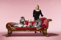 'Pooch Perfect': How Well Does Rebel Wilson Know Her Dog Breeds? (VIDEO)