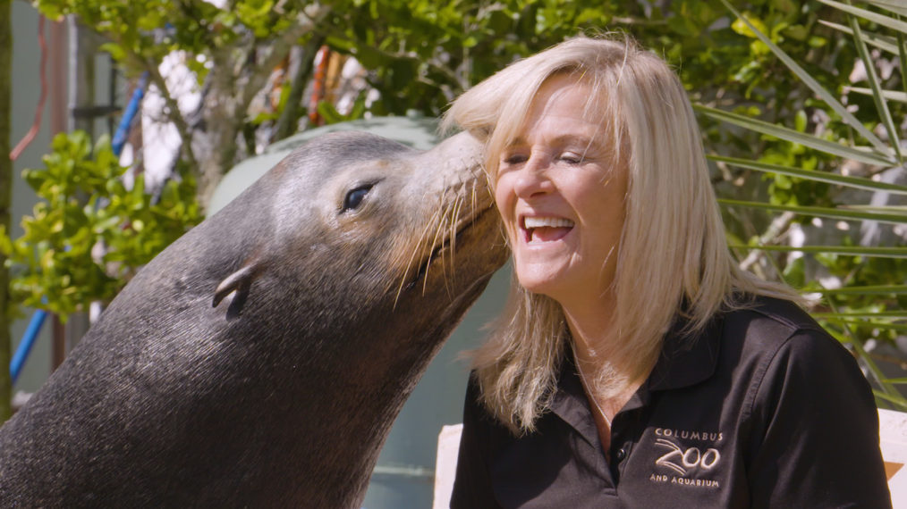 Suzi Rapp Secrets of the Zoo