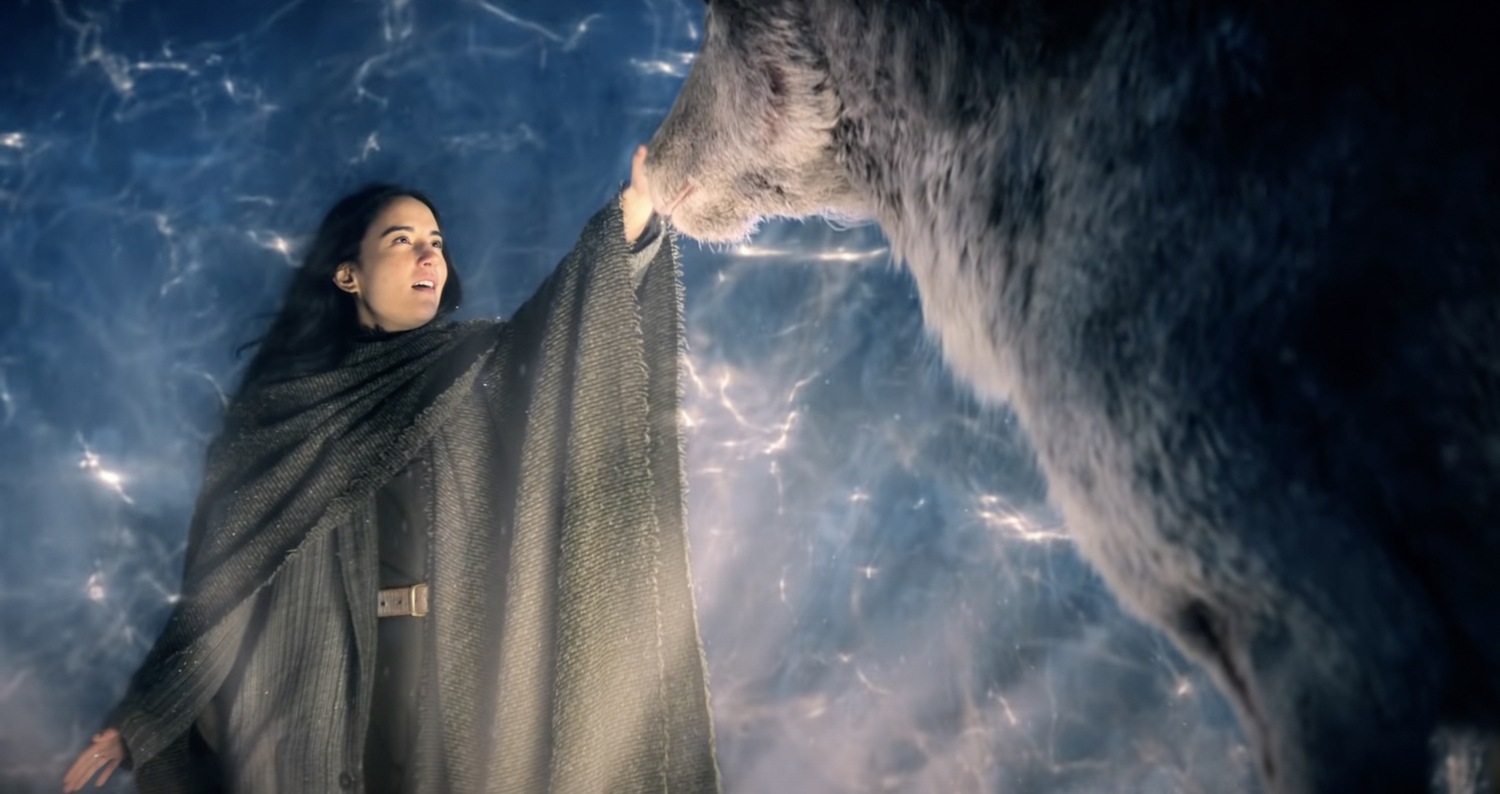 Shadow and Bone' Trailer: Can Alina Bring the Light to Save Everyone?  (VIDEO)