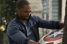 The Falcon and the Winter Soldier - Anthony Mackie